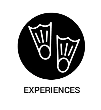Experiences Bookings
